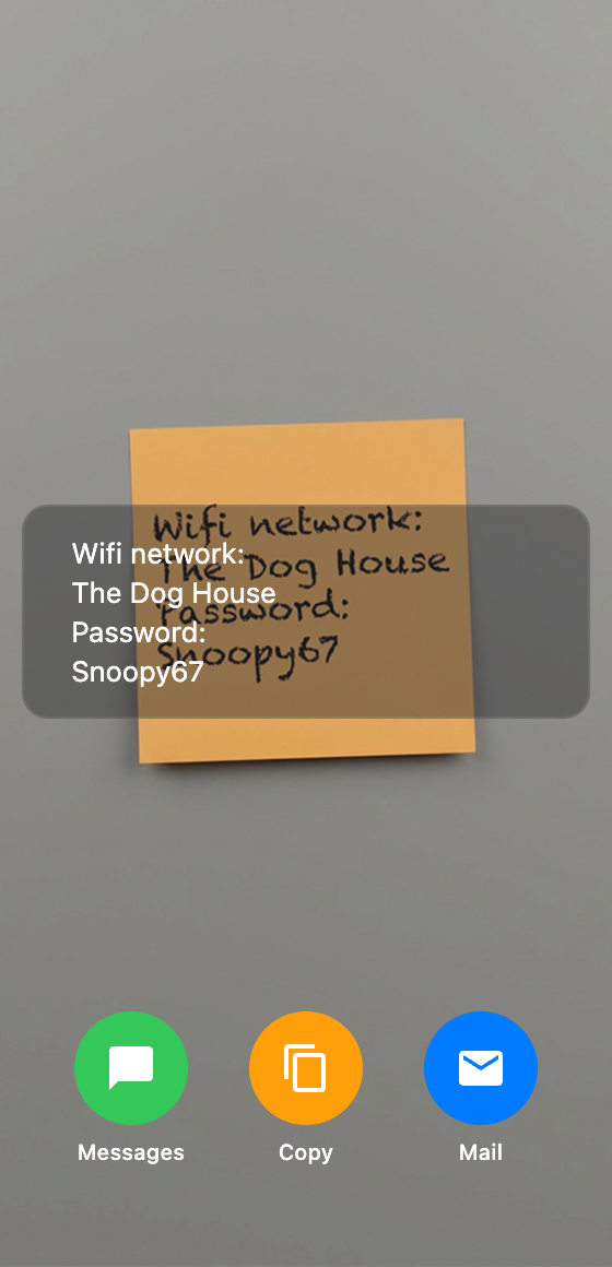 WiFi text recognized